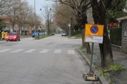 Via al taglio degli alberi