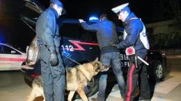 Alto Polesine, contro la droga arriva anche l'unità cinofila