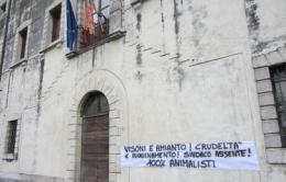 Visoni, blitz contro l'allevamento. E contro il sindaco