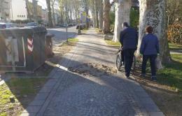 Nei marciapiedi dei viali di Rovigo il porfido è esploso