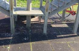 Spinelli e cocci di bottiglia al parco giochi dei bambini