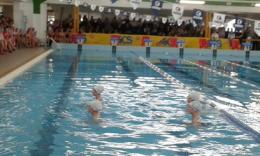 Tutto pronto a Rovigo per il memorial "Olin"