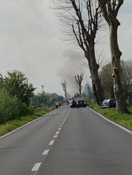 Auto contro platano, prende fuoco
