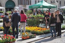 Sapori in fiore, pieno di gente