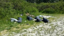 L'oasi di Panarella trattata come discarica a ciclo continuo