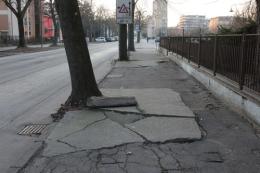 Via Tisi, i lavori stanno per partire. "Gli alberi non saranno tagliati"