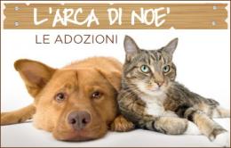 I magnifici 10 della settimana, tutti coccole e simpatia
