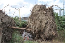 La devastazione dopo il tornado