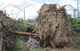 La devastazione dopo il tornado