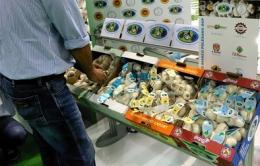 L’aglio bianco polesano dop protagonista al Macfrut
