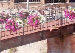 Badia, i "killer" dei fiori tornano in azione