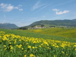 Altopiano dei Sette Comuni, in bici sugli antichi binari