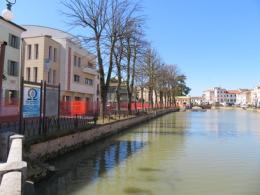 Addio ai tigli in riviera, arriva il via libera