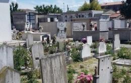 Cimitero fra degrado e erbacce