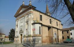 Taglio degli alberi, il Comune si scusa