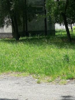 Lavori ai giardini pubblici restyling da 45mila euro