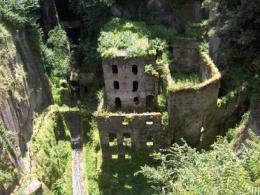 Rovine abbandonate, la nuova inquilina è Madre Natura