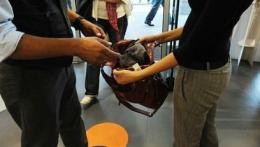 Ladra seriale finisce ai domiciliari: ci resterà oltre 10 anni