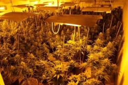 Fabbrica di droga, tre anni di pena