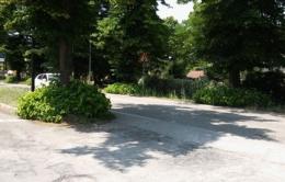Erba alta, pericolo in Statale