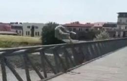 Clamoroso tuffo nell'Adige, studente denunciato