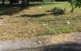 Parco Grandi, degrado e vandalismi