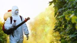 Ambiente, il Comune a Bristol presenta il progetto di una città senza pesticidi