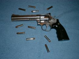 Teneva nascosta in casa una Smith & Wesson 357 Magnum 