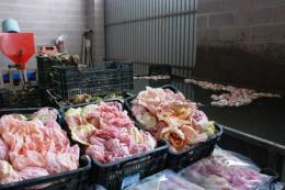 Tempi difficili per lo slow food : Come rilanciare prodotti e disciplinari