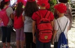 "Classi pollaio", scatta la protesta dei genitori