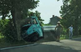 Si schianta contro un platano, è grave