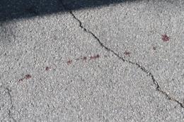 Sangue in centro, la città ora ha paura