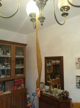 Puzza e mosche, estate da incubo