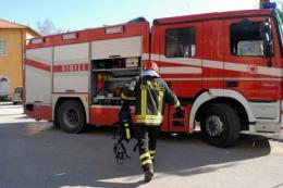 Incendio all'allevamento di visoni
