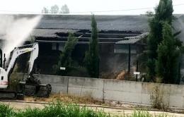 Incendio all'allevamento di visoni, Berlato: “Vile atto di ecoterrorismo”.