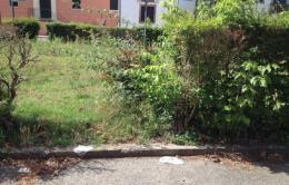 Quel parco chiuso e l'erba alta