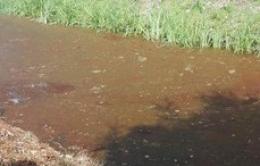 Chiazza oleosa nella Fossa Castello: è allarme
