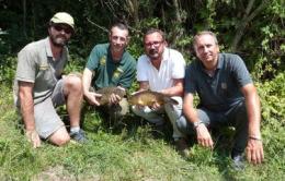 24 quintali di carpe liberate nel Canalbianco