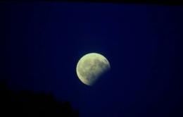 La notte dell'eclissi: che spettacolo nei nostri cieli!
