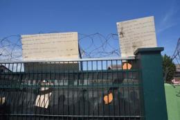 Nuova protesta dei profughi: quella casa in mezzo ai campi non va bene