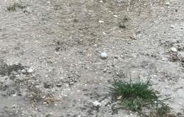 Dopo la siccità, la grandine: agricoltura in ginocchio