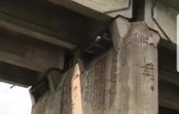 Piloni usurati sul ponte dell'A13: l'allarme è molto serio