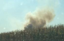 Incendio di sterpaglie dietro la ditta Fresenius