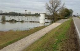 Trovato un tasso morto sull’argine