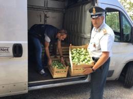 Il furgone delle pompe funebri viaggiava pieno di frutta