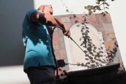 West Nile, adesso il virus è in città