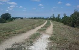 Manutenzione della golena a Badia, ecco l’accordo triennale