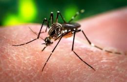 Bimba di 4 anni muore di malaria dopo una vacanza in Veneto