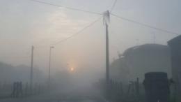 Signore e signori, la prima giornata di autentica nebbia... 