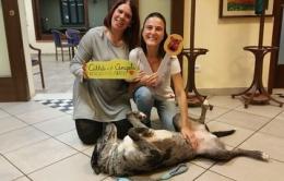 Cavarzere, in tantissimi per aiutare Mara